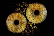 Fanny OLLIVIER - ROUSSELUNE STUDIO