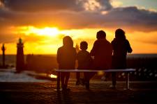 Paulo CARDINAL - Paulo Cardinal