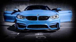 Paulo CARDINAL - Paulo Cardinal