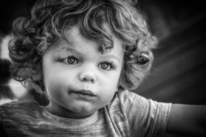 Paulo CARDINAL - Paulo Cardinal